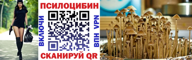 где купить наркотик  Чёрмоз  Галлюциногенные грибы мицелий 